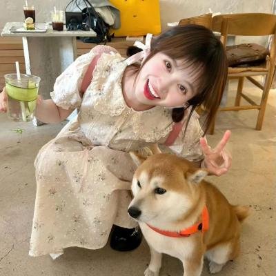 局外人2019